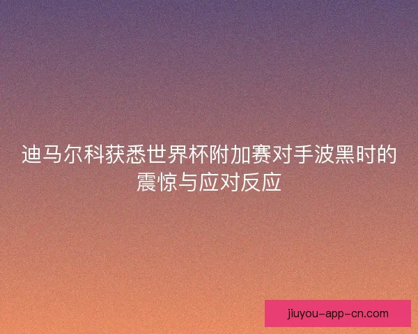 迪马尔科获悉世界杯附加赛对手波黑时的震惊与应对反应